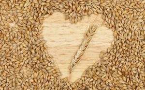 Orzo: il cereale che mantiene stabile il peso, il livello di colesterolo e di stress