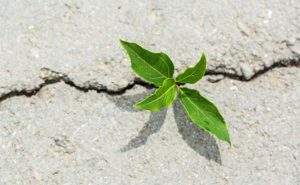 La Mente: un aiuto fondamentale in un intervento al cuore