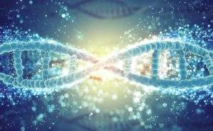 Il tumore alla prostata e il colesterolo alto sono collegati