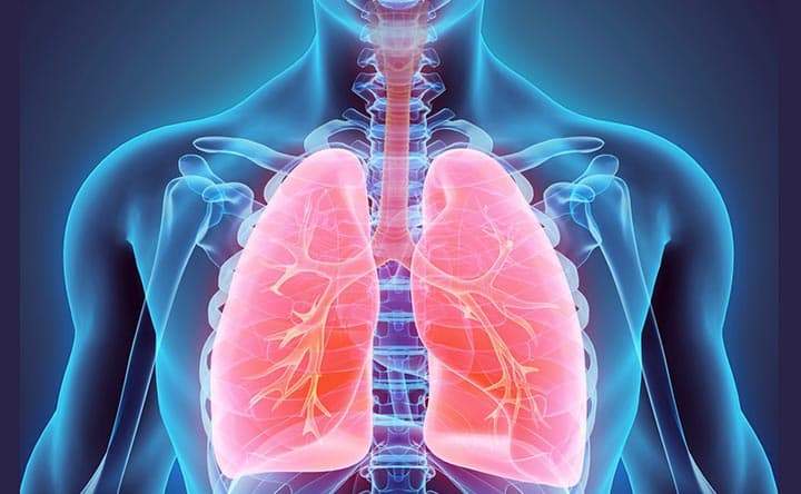 Come i batteri entrano nei polmoni