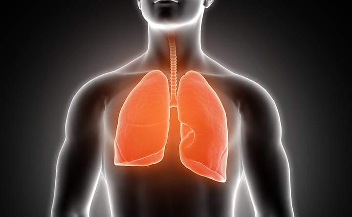 Colesterolo: alleato sottovalutato per il benessere dei nostri polmoni