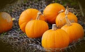 Olio estratto dai semi di zucca: abbassa il colesterolo cattivo?
