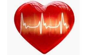 Il difetto delle cellule cardiache può causare insufficienza cardiaca in gravidanza