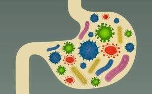 Microbiota intestinale e probiotici: un aiuto per contrastare il colesterolo alto