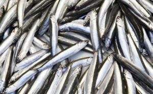 Il colesterolo non è nostro nemico, conosciamolo meglio