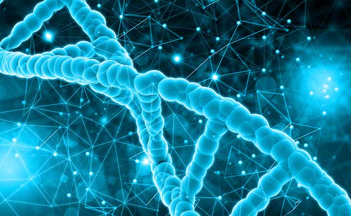Modifica genetica per abbassare il colesterolo nelle scimmie, lo studio