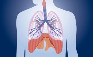 Statine associate al miglioramento di una malattia polmonare rara