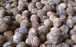 Noci nere: ottimo alimento per il cuore in salute