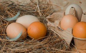 L’assoluzione delle uova