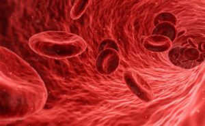 In che modo il “colesterolo cattivo” entra nelle pareti delle arterie