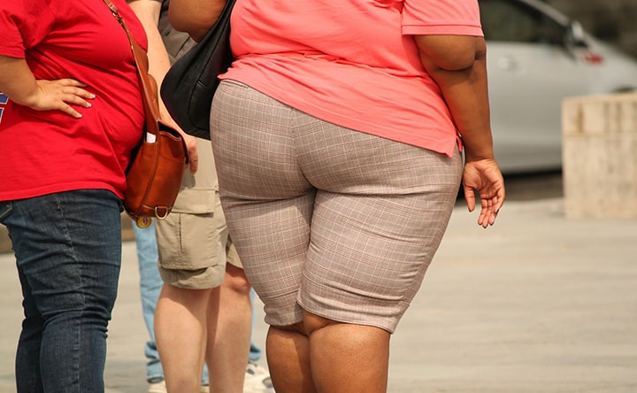 Studiare le cellule di grasso per combattere l’obesità