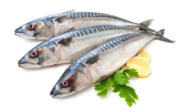 L’olio di pesce purificato potrebbe prevenire problemi cardiovascolari